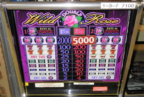 Wild Rose Slot Machine Code 81 .